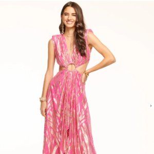 Ramy brook gorgeous dress